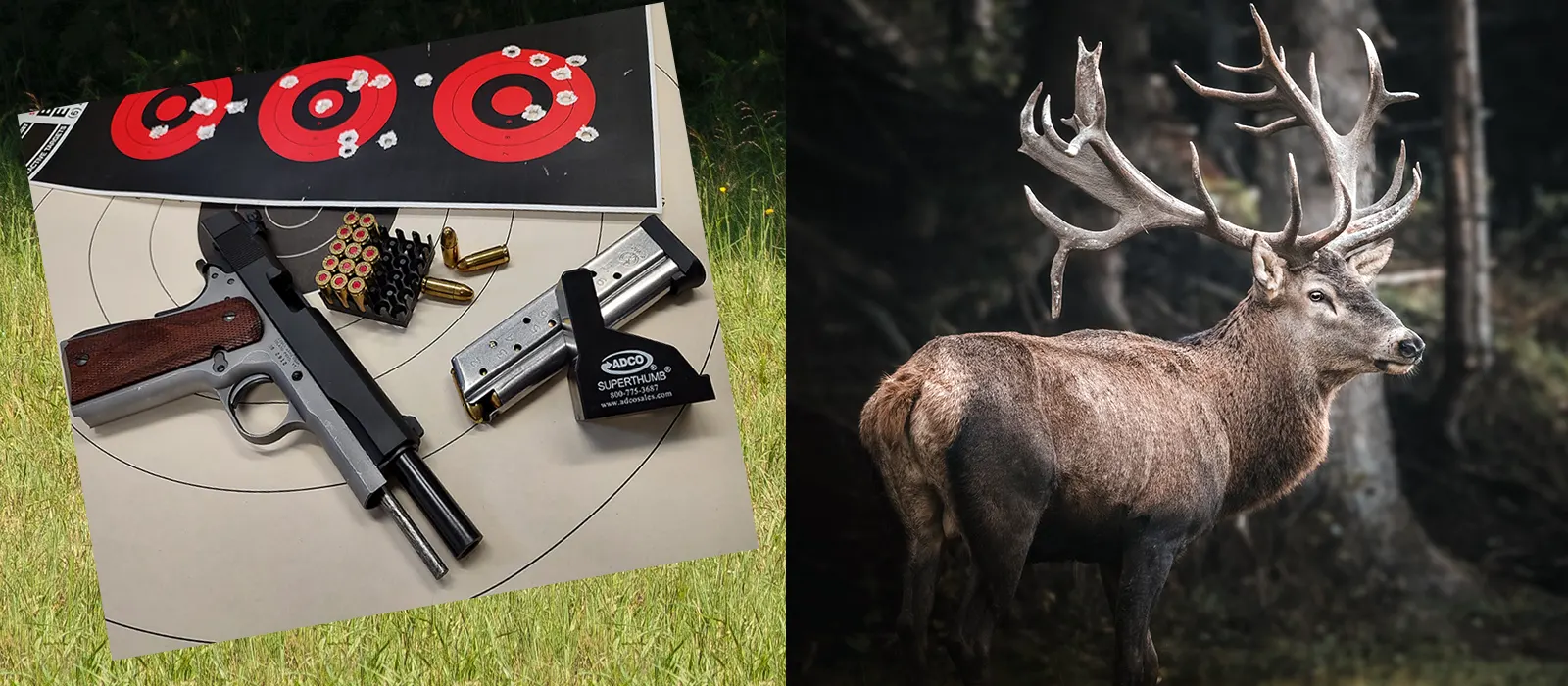 lorem ipsum dolor sit